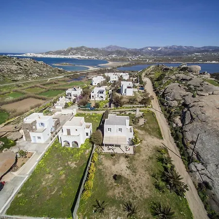 The Pure